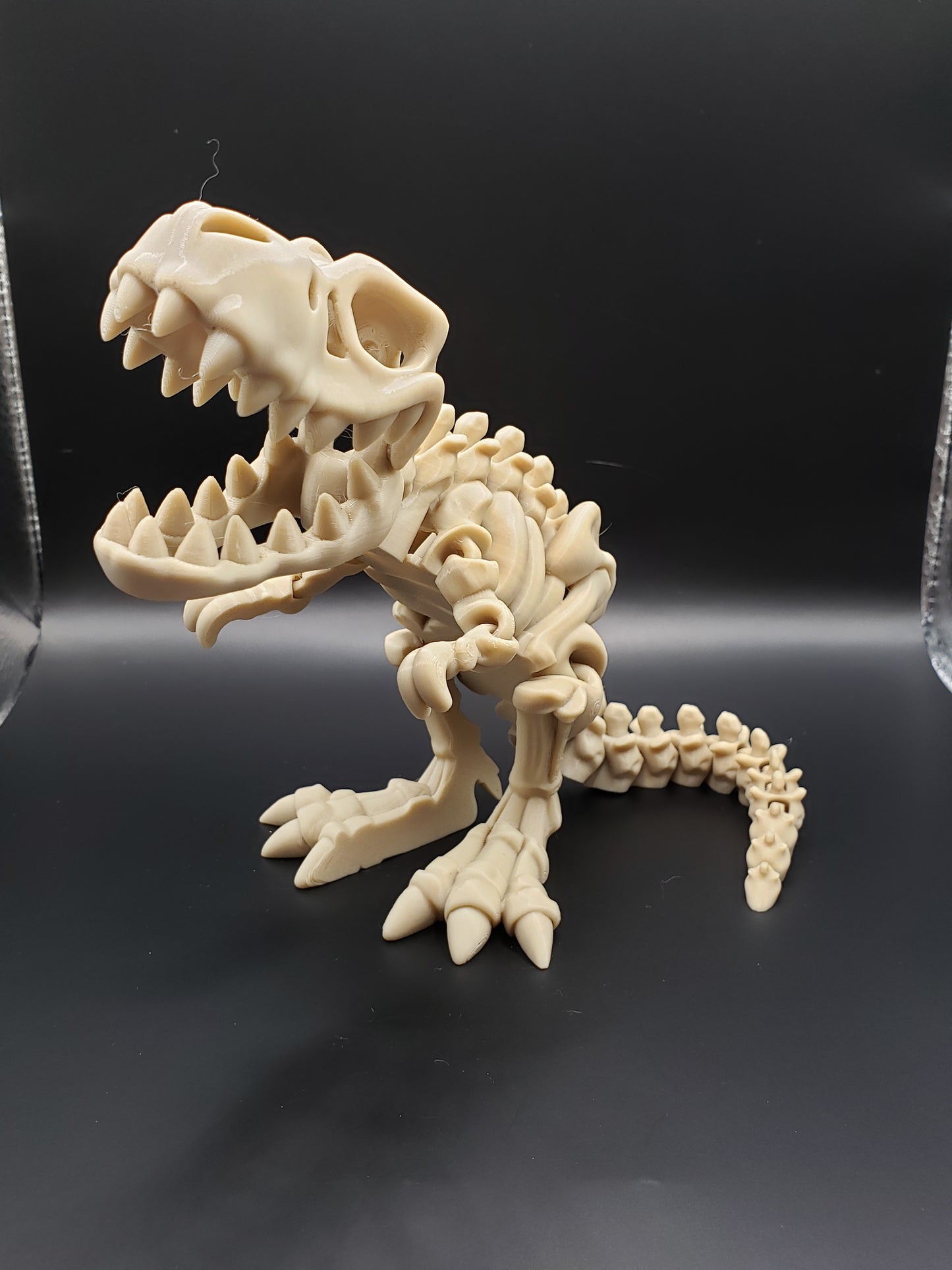 Skeleton T-Rex