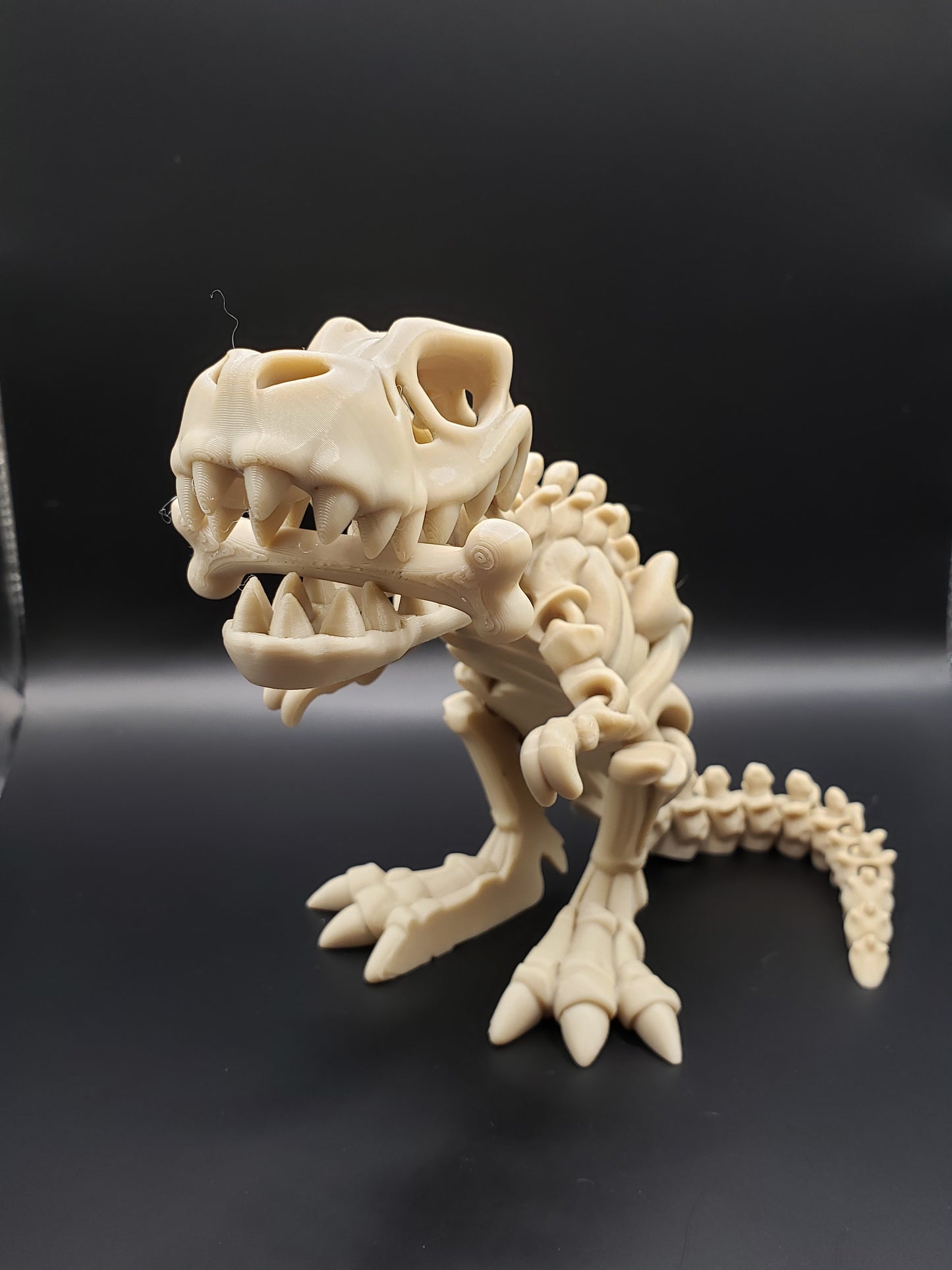 Skeleton T-Rex