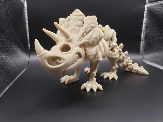 Skeleton Triceratops